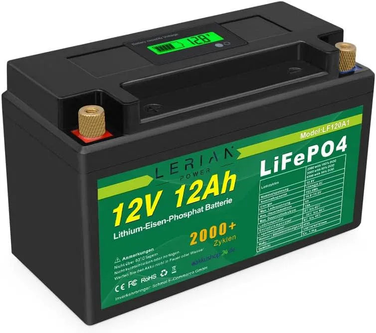 LiFePO4 Accu 12 V 12 Ah lithium-ijzerfosfaatbatterij voor camping LiFePO4 met 12 V en 12 Ah