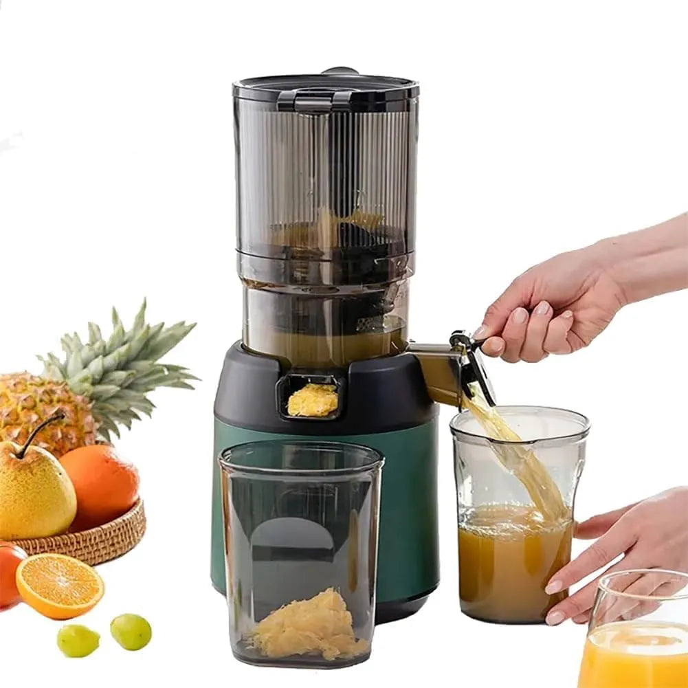 Koude pers Masticating Juicer met 300 W en voor Fruit en Groenten