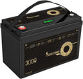 12V, 12V LiFePO4-batterij Deep-cycle lithiumbatterij Oplaadbare lithium-ijzerfosfaatbatterij Ingebouwde 200A BMS 3000 cycli-batterij voor RV, model